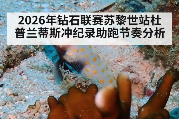 2026年钻石联赛苏黎世站杜普兰蒂斯冲纪录助跑节奏分析